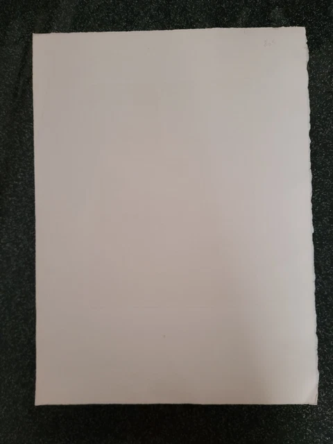 Lithographie signée et numérotée décor d'oiseau et de chat signature à identifie 12