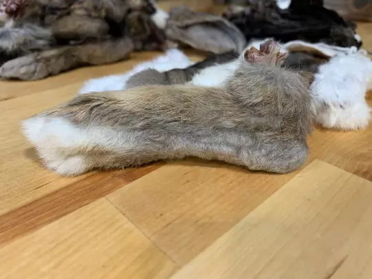 Rabbit Feet Dog Chews Natural Dewormer Training Toy Dehydrated Furry Fur Treat 3