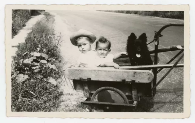 VINTAGE PHOTO Snapshot in a Cart Straw Hat Carrying Funny Chien