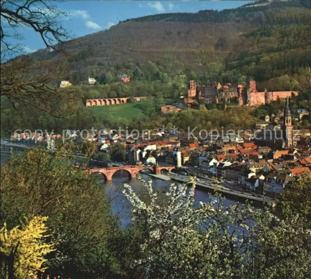 72574268 Heidelberg Neckar Fruehling Schloss Heidelberg