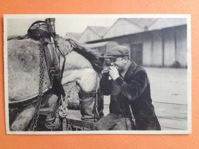 cpa Métier BELGIQUE Le PORT d' ANVERS Le REPAS Cheval Casse Croute