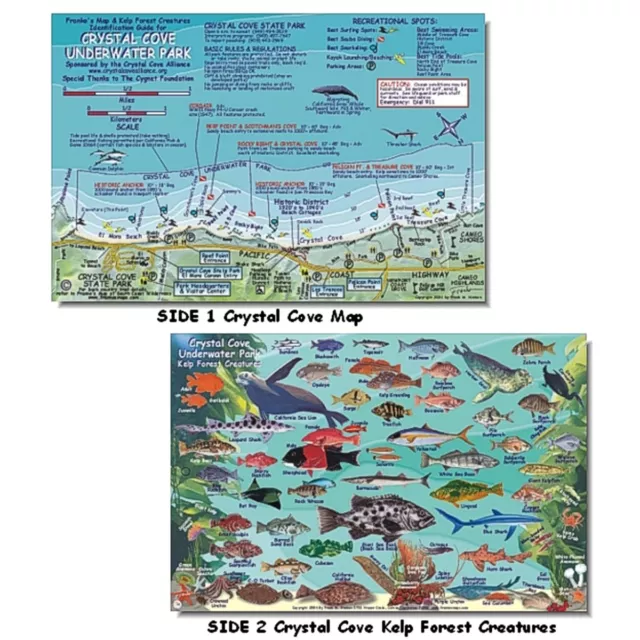 Franko Maps Crystal Cove Underwater Dive Creature Guide 5.5 X 8.5 Inch