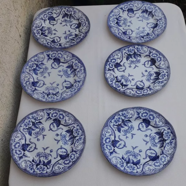 Six Assiettes Plates Creil Montereau Decor Flora