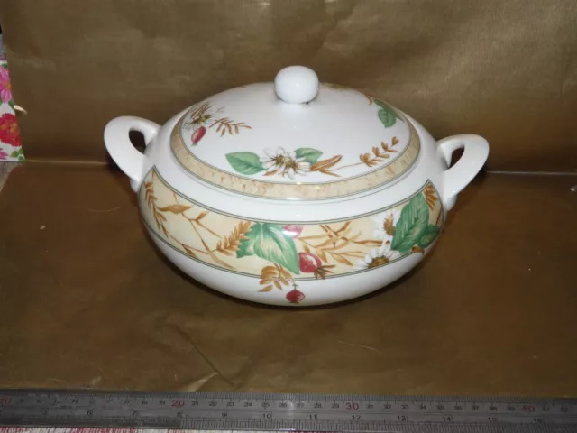 royal doulton expressions edenfield casserole dish / lidded serving tureen