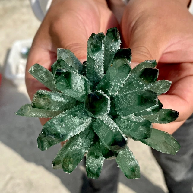 279G New Find Green Phantom Quartz Crystal Cluster Mineral Specimen Healing 9