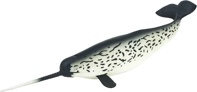 Monterey Bay Aquarium Sea Life Narwhal 2