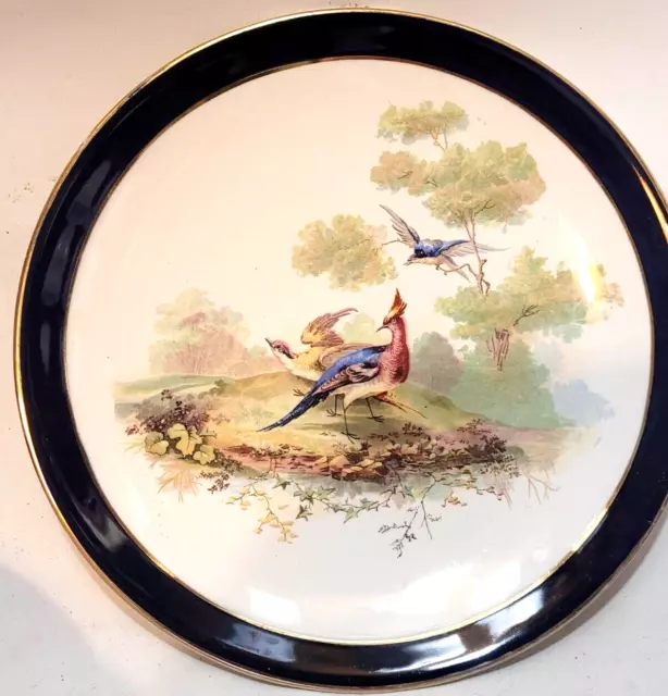 Royal Doulton Exotic Bird Asiatic Pheasants Plate gold rim bird of paradise