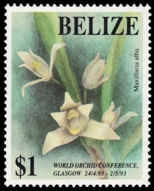 BELIZE 1011 - World Orchid Conference "Maxillaria alba" (pb84572)