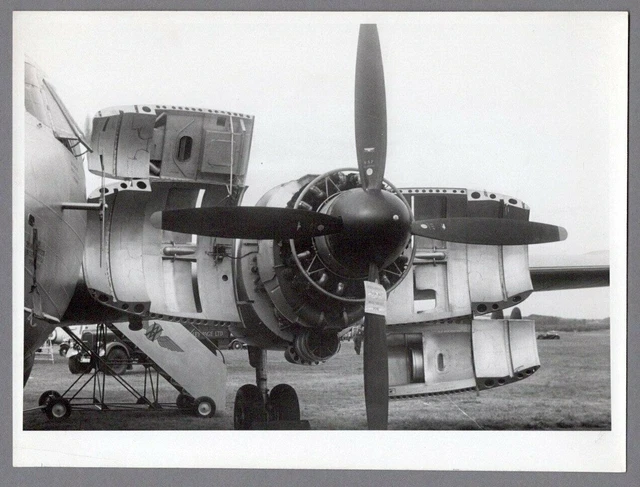 Vickers Varsity Engine Original Vintage Press Photo Raf Royal Air Force