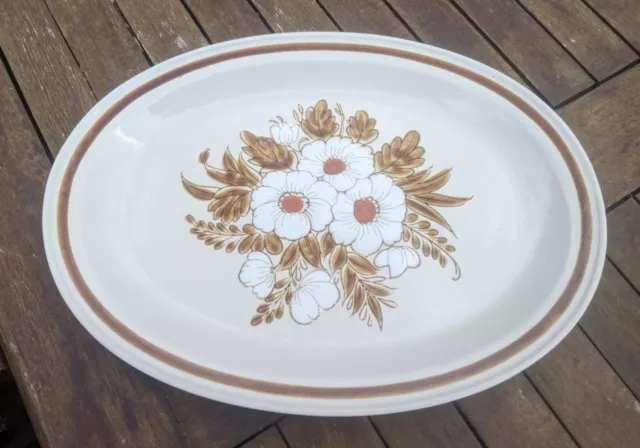 Rare Mountain Wood Collection Oval Serving Plate Platter Stoneware Dried Flowers