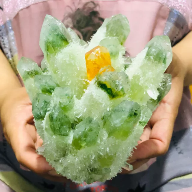 1230G New Find Green Phantom Quartz Crystal Cluster Mineral Specimen Healing