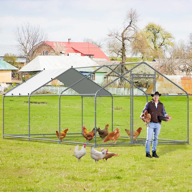 LARGE METAL CHICKEN Coop Outdoor Walkin Poultry Cage for Yard Farm