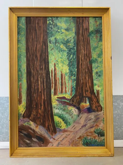 🔥 Antique Old Early California Plein Air Redwoods Landscape Oil Painting, 1930s