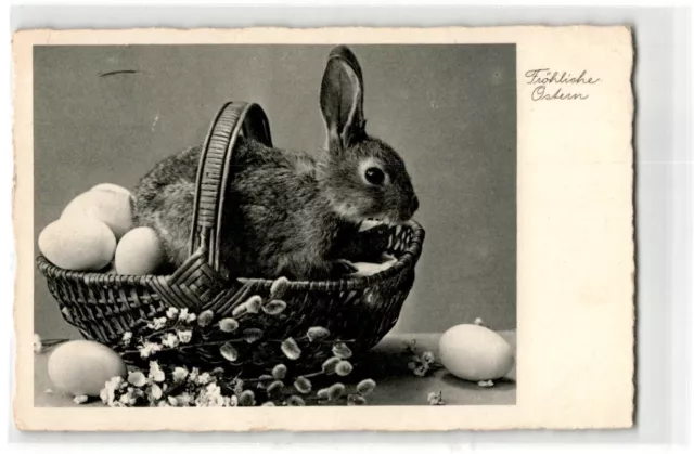 AK Postkarte Gelaufen Fröhliche Ostern Hase Kaninchen