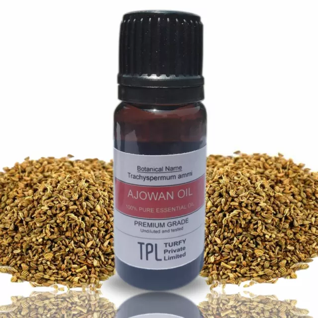 Ajowan Essential Oil 100% Pure & Natural Therapeutic Grade Oil - Free Shipping