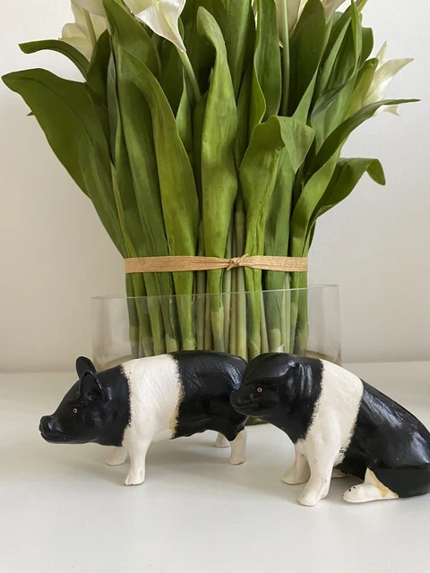 2 Super Black & White Pigs By Don Fine Art Studios