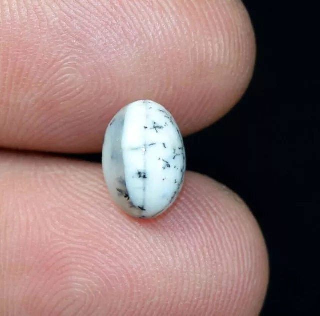 2,30 cts. Pierre précieuse cabochon ovale en opale de dendrite 100 %...