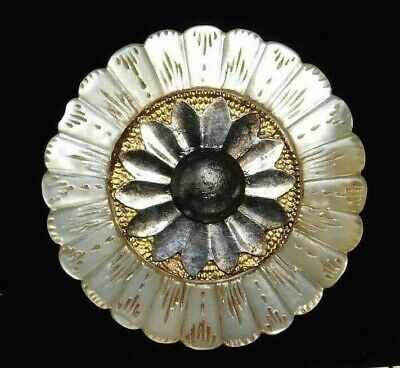 Antique BUTTON Large Carved & Engraved Pearl Shell Scalloped w Foil Flower NICE