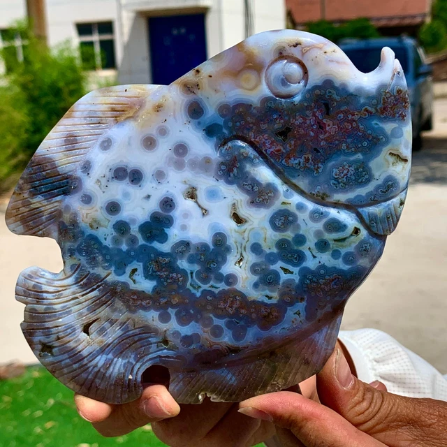 492G Amazing Natural Ocean Jasper Crystal Carved Fish Jasper Halo Stone