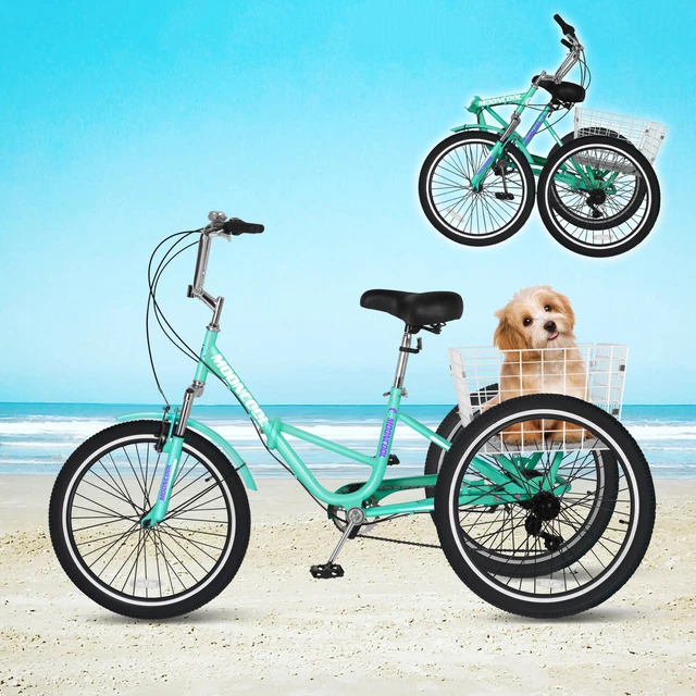 adult 3 wheel bicycle