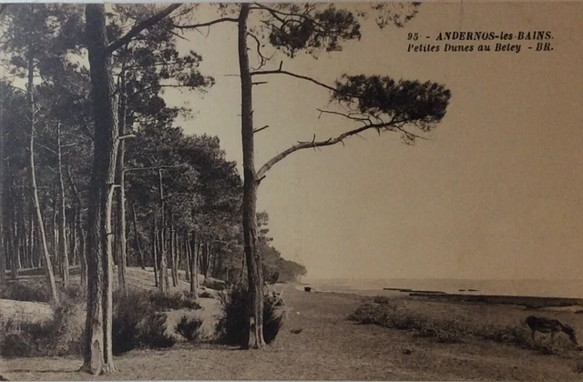 Andernos-les-Bains - andernos les bains sur la jetée promenade