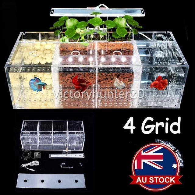 NEW Acrylic Betta Fish Tank LED Light Mini Desktop Aquarium Water Pump 4Grid AA