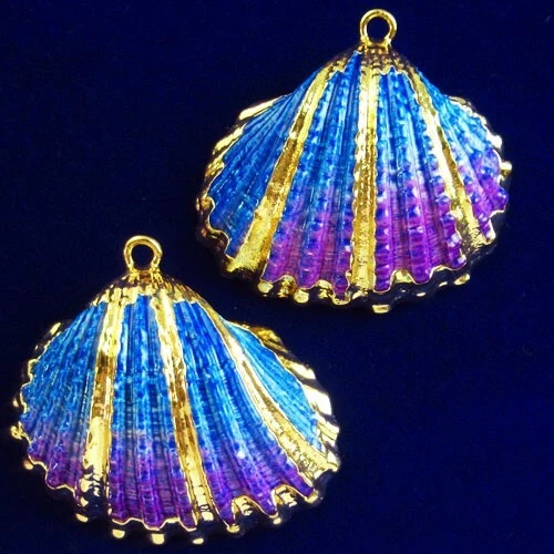 2Pcs Gold Edge Purple Blue Scallop shell Pendant 29x26x3/30x28x3mm F47747