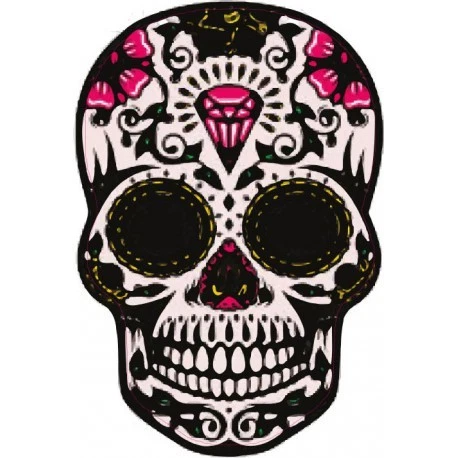 CSPARKV 2 Pièces Stickers Tête de Mort 3D Velo, Autocollant de Voiture