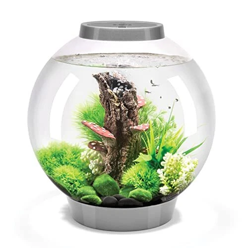 Classic 30 Acrylic 8-Gallon 8 Gallon Silver with LED Lighting Series 7