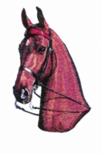 Embroidered Sweatshirt - Horse Head BT3996 Sizes S - XXL
