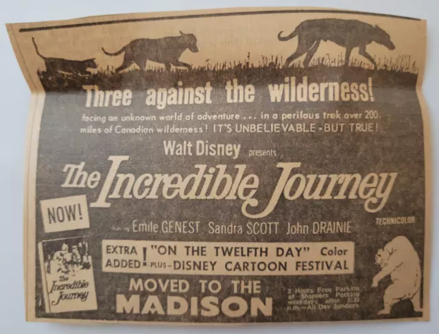 Walt Disney "The Incredible Journey" Movie Ad Detroit Free Press 1963 5.5x3.5"