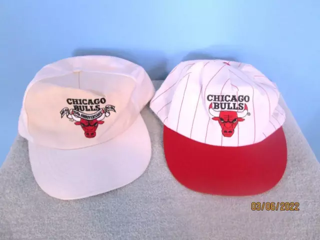 Vintage NBA (Kick 10) - Chicago Bulls Sears Strapback Hat 1990s OSFA