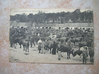 France CPA 62 pernes en artois day walk livestock auction rare! (e49)