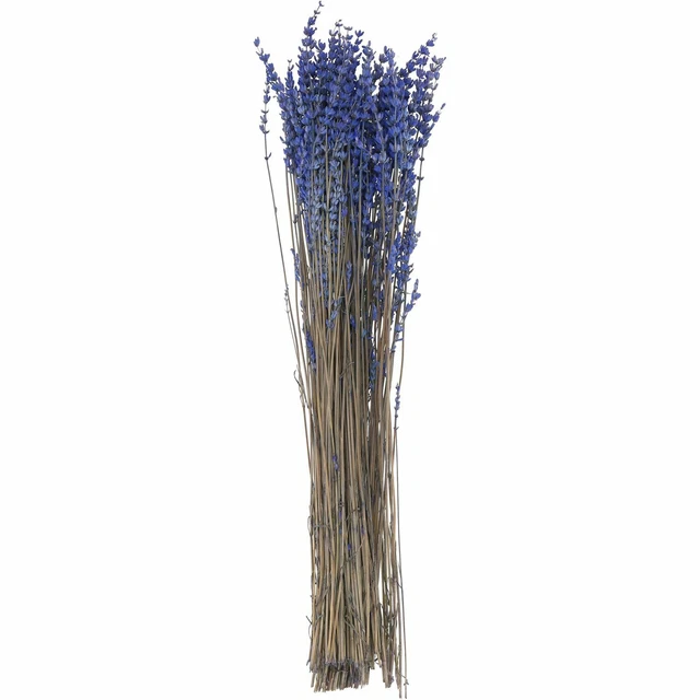 Lavanda larga - longitud aprox. 50 cm - cintura 150 g - azul natural