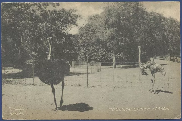 Zoological Garden Karachi Pakistan Mnh Old Picture Postcard Post Card