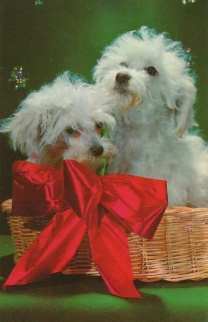 Adorable Little Puppies Dogs In Basket Bow Tie Animals Vintage Chrome Post Card
