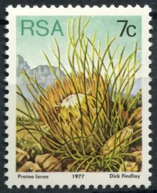 South Africa 1977-82 SG#420b 7c Proteas, Plants Definitive P14x13.5 MNH #E9009