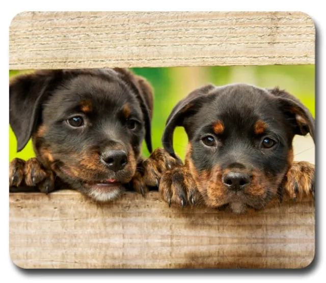 Rottweiler Puppies Dog Puppy ~ Mouse Pad / PC Mousepad ~ Cute Home Office Gift