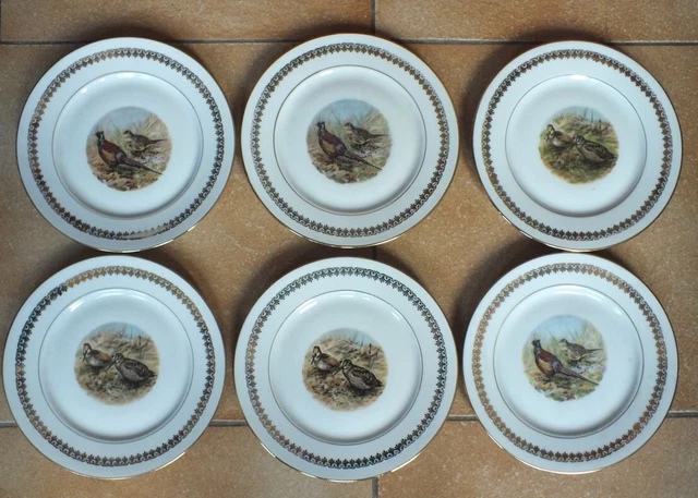 Assiettes à Soupe Fine Dining METRO - Porcelaine AB, 21.5 Cm, Blanc - Lot De 6 - Lave-vaisselle, Four 220°C - 8