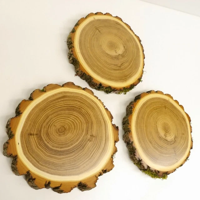 3 Pieza Acacia Jabalí Escudo de Trofeo Placa Brett Jabalí Baumscheibe