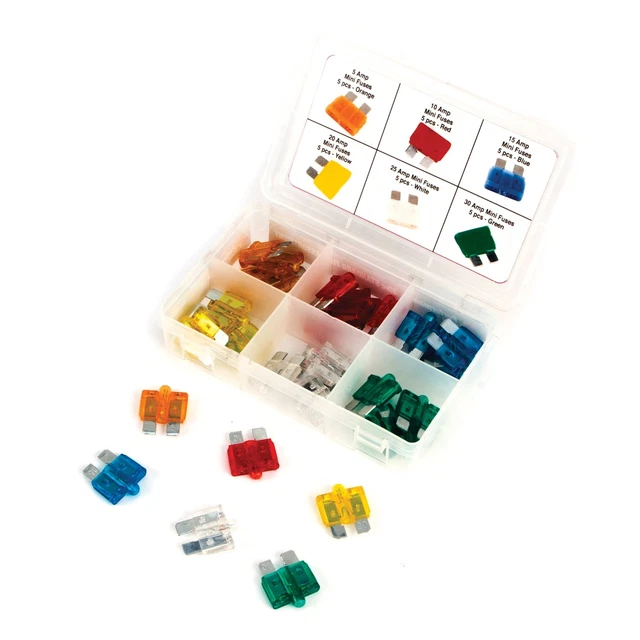 Wilmar W5378 30 Piece Standard Fuse Assortment