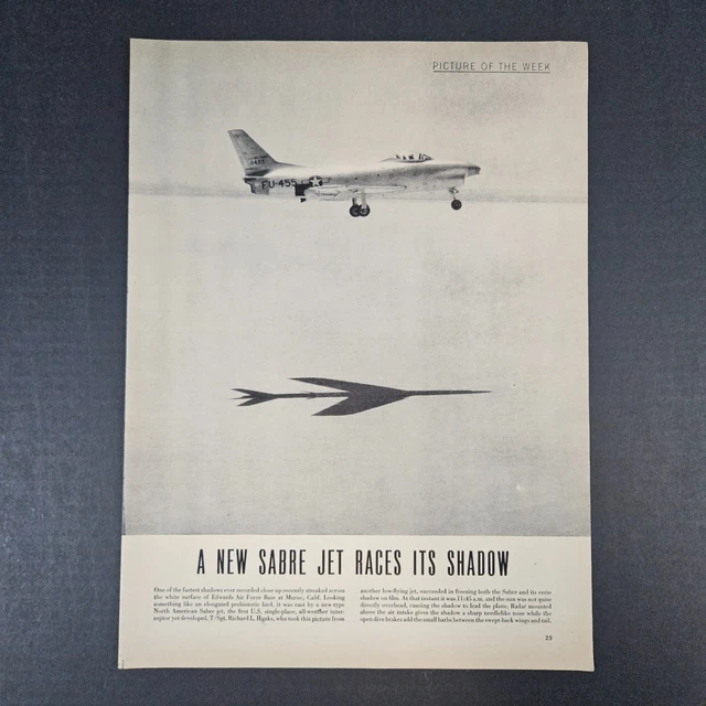 ライト・ランタン NATURE TONES -MIYABI-38 RICH PHOENIX - Ephemera, Paper, Postcards, Collectables - PicClick AU