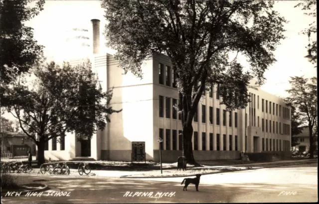 ALPENA MI Dog at New High School REAL PHOTO RPPC Old Postcard