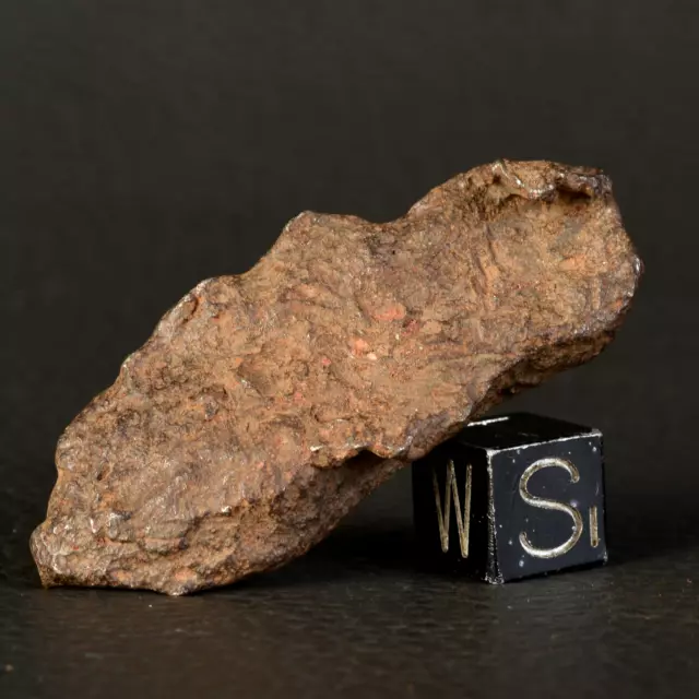 Meteorit Gebel Kamil 35,04 G Siderit Nicht Gruppiert Ägypten Eisen Ung. D18.1-31