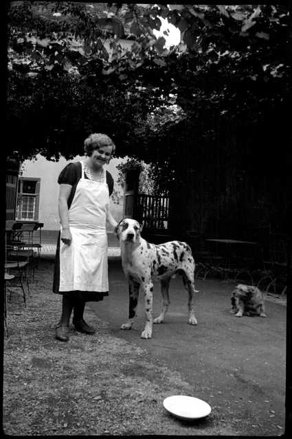 Portrait Woman with Chien - Antique Photo Negative Year 1920