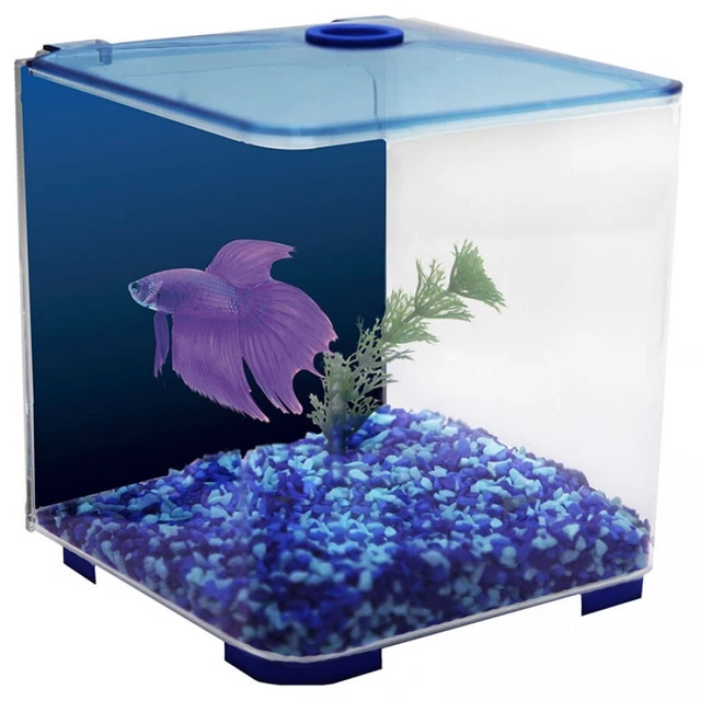 Aqua One Betta Style Acrylic Tank 3L - Blue (56101BL)