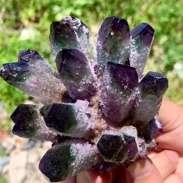 445G New Find purple PhantomQuartz Crystal Cluster MineralSpecimen