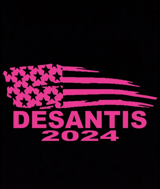 PINK PRESIDENT RON Desantis Flag 2024 Vinyl Decal Sticker Car Truck USA
