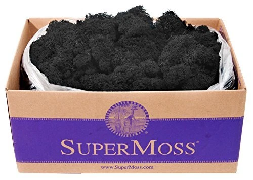 SuperMoss 21786 Reindeer Moss Preserved Black Appx. 3 lb Bulk Case