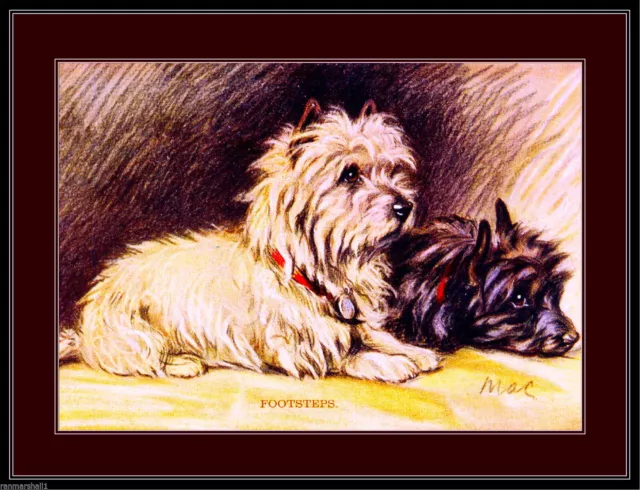 93686 English Cairn Terrier Puppy Dog Dogs Puppies Wall Print Poster UK